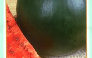 ОГОНЬОК /  ОГОНЕК