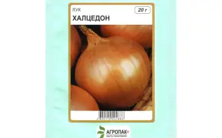 Халцедон