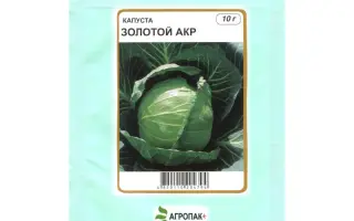 Золотой акр