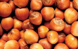 Морозивский 