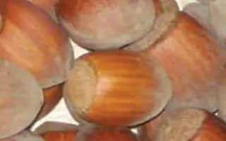 Варшавский красный