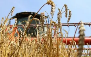 Уборка зерновых культур