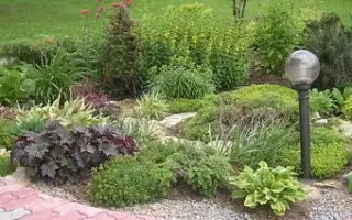 Ландшафтный дизайн