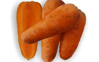 Шантане Рэд Кор
