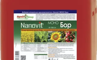 Наноактиватор