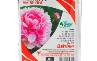 UTEC 46, гр. (N - 46,2%)