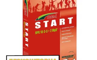 Мінігран ДЦМ