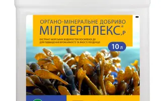 Міллерплекс