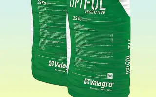 ЕКВІЛІБРІУМ