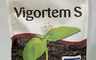 ВІГОРТЕМ-С