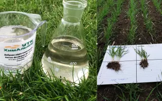 Добриво рідке комплексне марки 11:37