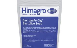 Бактолайв Сід