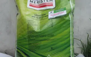 МЕРІСТЕМ NPK