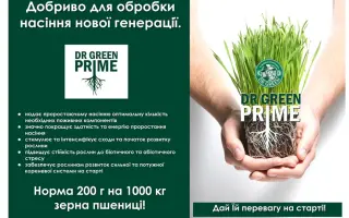 Доктор Грін - Прайм