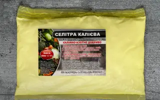 Калиєва селітра