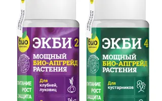 Микробиологическое удобрение Ризобакт Супер