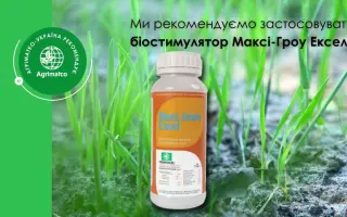 Максі-Гроу Ексель