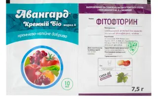 АВАНГАРД КРЕМНІЙ