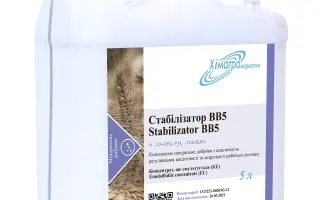 Стабілізатор (BВ5)
