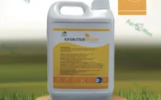 Кінактив Інішіал