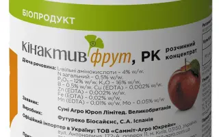 Кінактив Фрут