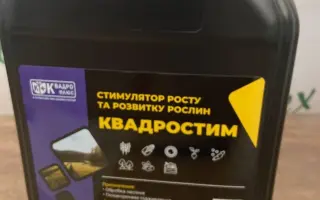 Квадростим