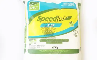 Спідфол Бор