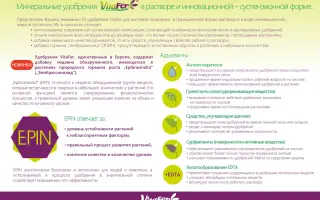 VitaFer (ВітаФер)