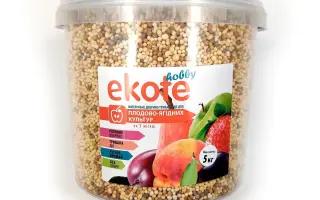 ЕКОТЕ (EKOTE)