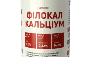 ФілоКал Блу