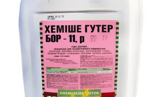 Хеміше Гутер