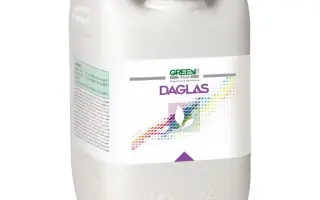 ГРІН ХАС ДАГЛАС