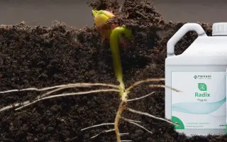 Добрива комплексні «ПЛАНТОНИТ»