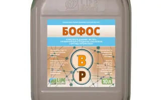 ОРГАНІК-МЕТАЛ