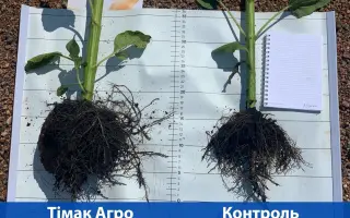 ЄВРОСІРІАЛ 10-24-0