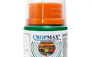 Кропмакс, с.