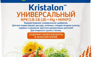 Екстрабіон