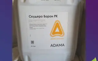 Скудеро Борон