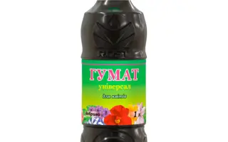 Гуміфіст ВГ