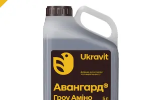 АВАНГАРД