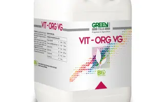 ГРІН ХАС ВІТ-ОРГ ВГ