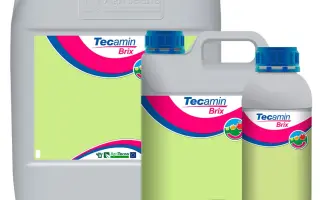 Текамін Брікс