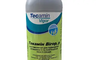 Текамін Вігор