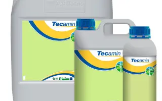 ТЕКАМІН ТЕХ ФРУТ