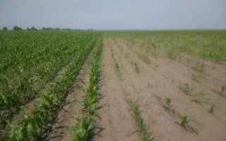 ДИАГРО МАКС