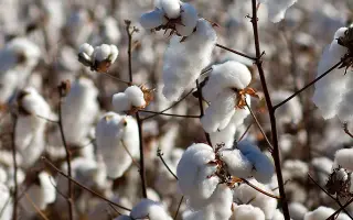 AgriGuardian MicroMix Complete™ (АгріГардіан МікроМікс Компліт)