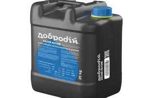 Добродій-Бор