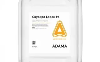 Скудеро Борон РК