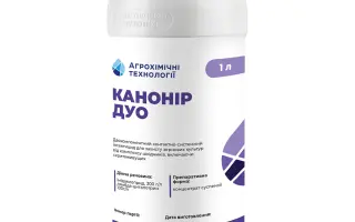 Люмідапт Імпакт