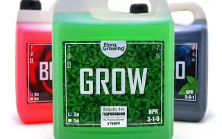 Ferro (GOLD, LG, GLEP)